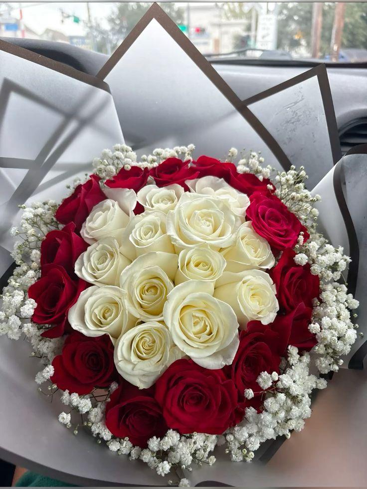Velvet Dream Sophisticated Cluster